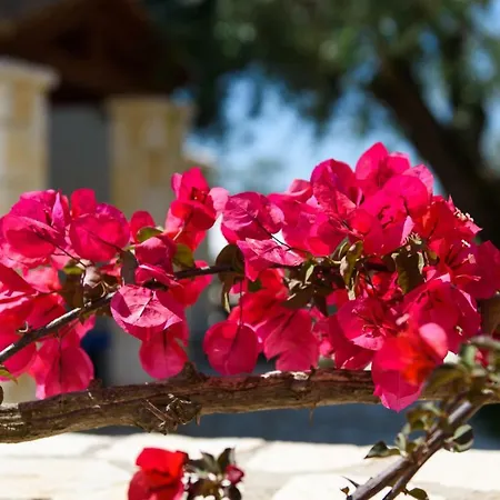Villa Luxury Lemonia With Private Pool Dassia (Corfu)
